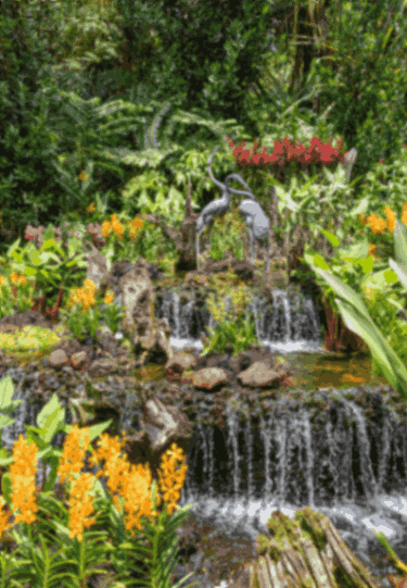 Singapore Gardens and Nature Parks